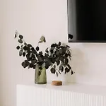 公寓 Quiboo #5 布拉索夫
