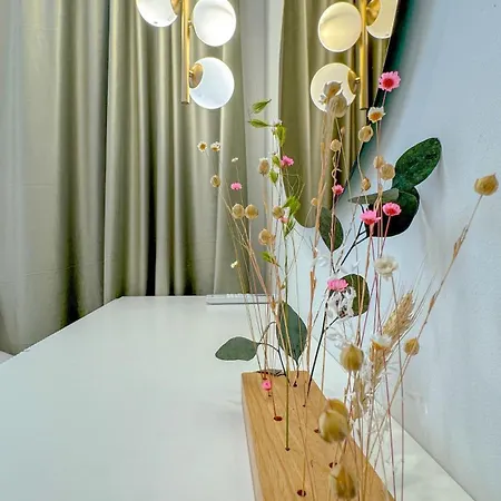 Apartment Quiboo #5 Brasov