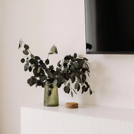 Apartment Quiboo #5 Brasov