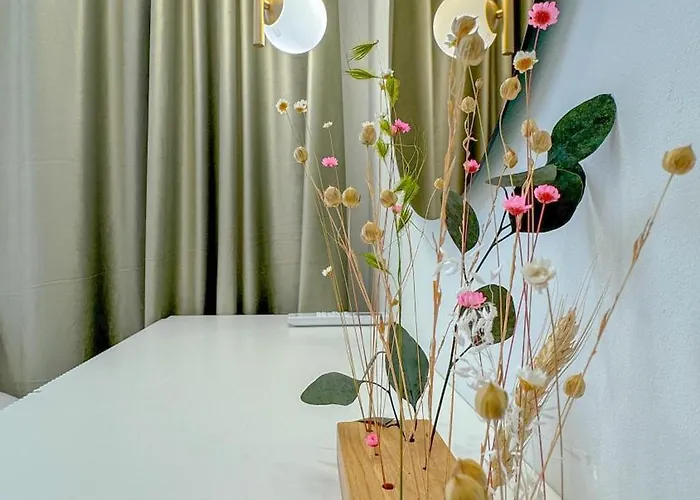 Apartman Quiboo #5 Brassó