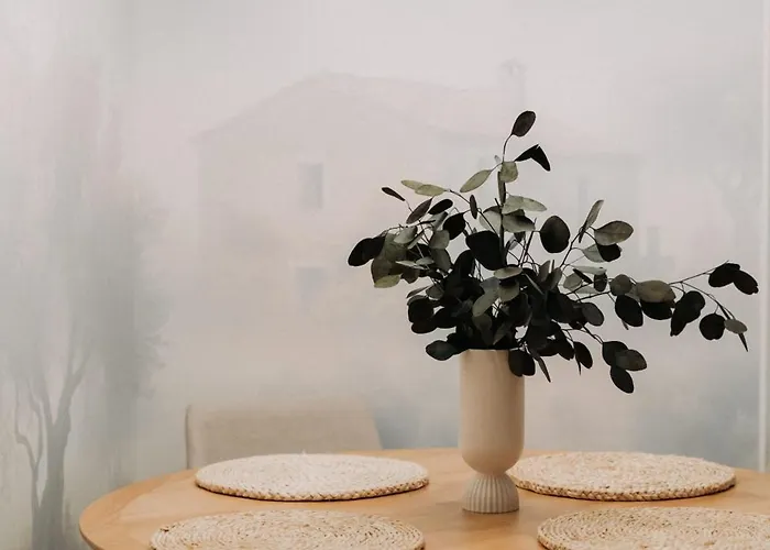 Apartman Quiboo #5 Brassó