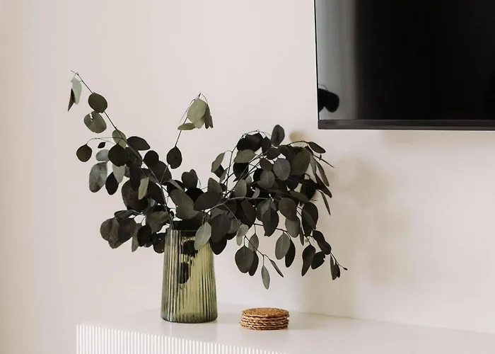 Apartman Quiboo #5 Brassó